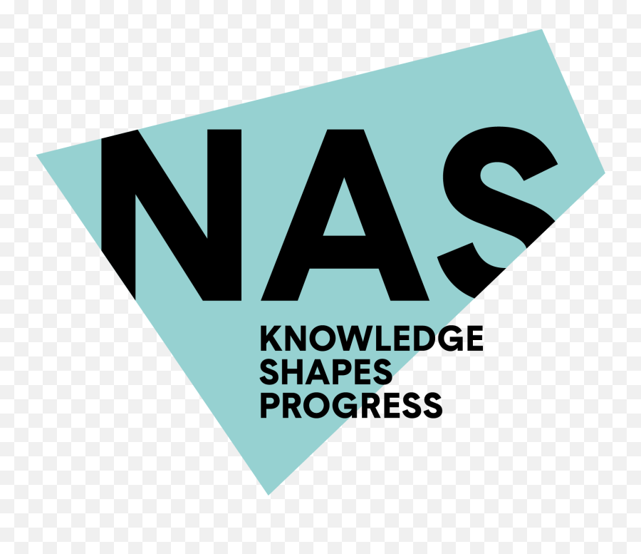National Arts Strategies Nas - National Arts Strategies Png,Arts And Culture Icon
