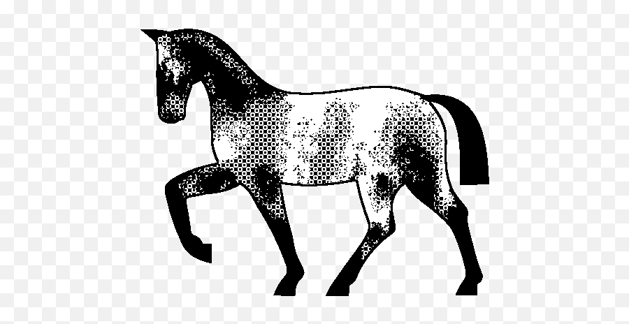 Fileicon Varnish Roangif - Wikipedia Svg Horse Silhouette Png,Gif File Icon