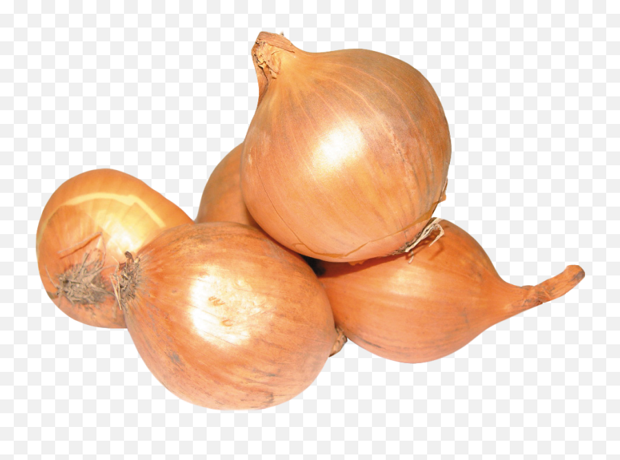 Onion Png Image - Pngpix Yellow Onions Transparent Background,Onion Png