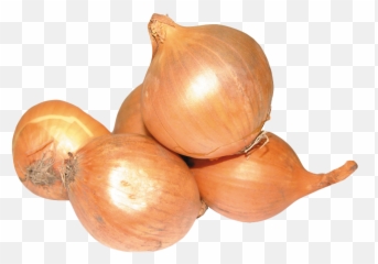 Onion Png Image - Pngpix Yellow Onions Transparent Background,Onion Png