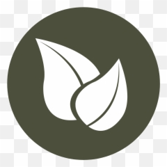 Website Design U0026 Seo In Vancouver Wa - Katlyn Slocum Dot png