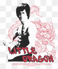 Little Dragon Fleece Blanket For Sale By Sienna Braim - Hair Design png