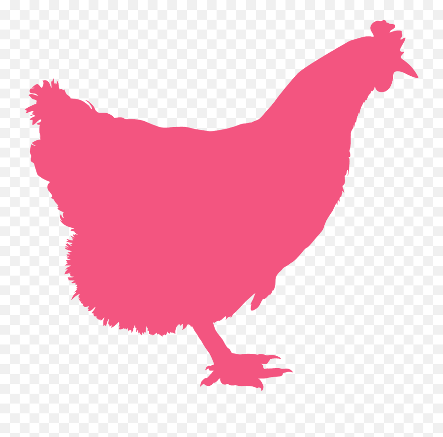 Hen Silhouette - Pink Hen Silhouette Png,Chicken Silhouette Png
