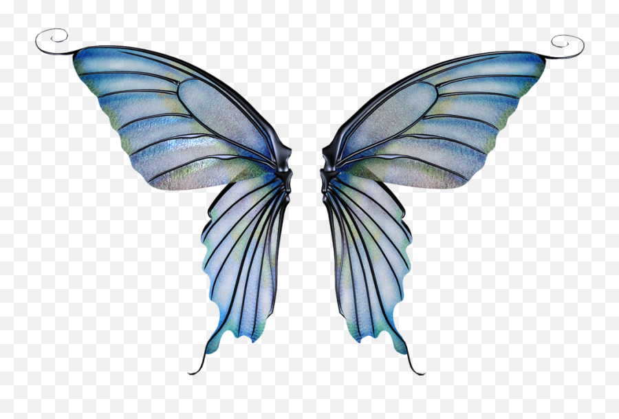Download Fairy Wing Png - Fairy Wings Transparent Background Transparent Background Fairy Wings Transparent,Wings Transparent Background