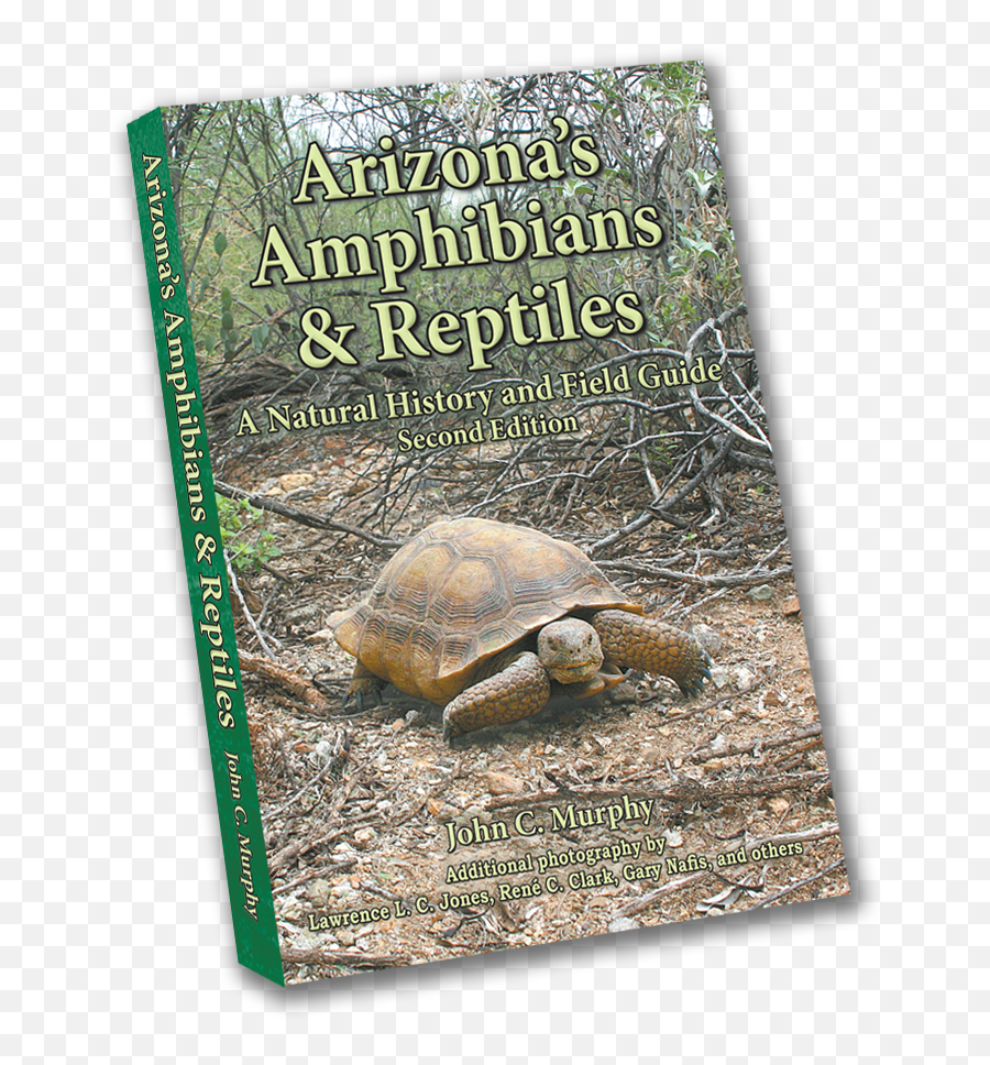 Arizonau2019s Amphibians U0026 Reptiles Png