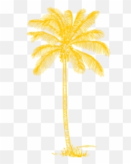 Yellow Palm Tree Clip Art - Coconut Clipart Black And Png Drawing