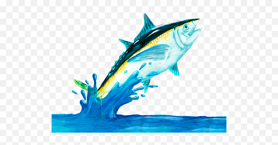 Fresh Fish Png 3 Image - Fish Images Png Hd,Fish Png Transparent