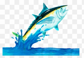 Fresh Fish Png 3 Image - Fish Images Png Hd,Fish Png Transparent