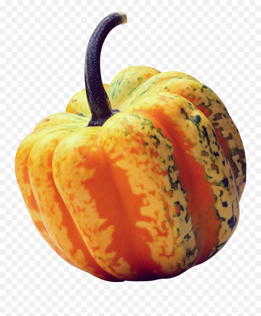 Pumpkin Png Image - Gourd Transparent Background,Squash Png