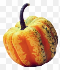 Pumpkin Png Image - Gourd Transparent Background,Squash Png