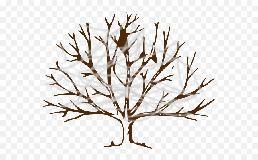 Tree With Cobwebs Clip Art - Vector Clip Art Branch Tree Drawing Png,Cobwebs Png