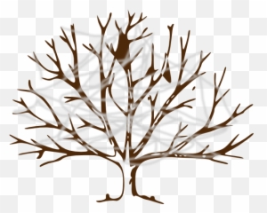 Tree With Cobwebs Clip Art - Vector Clip Art Branch Tree Drawing Png,Cobwebs Png