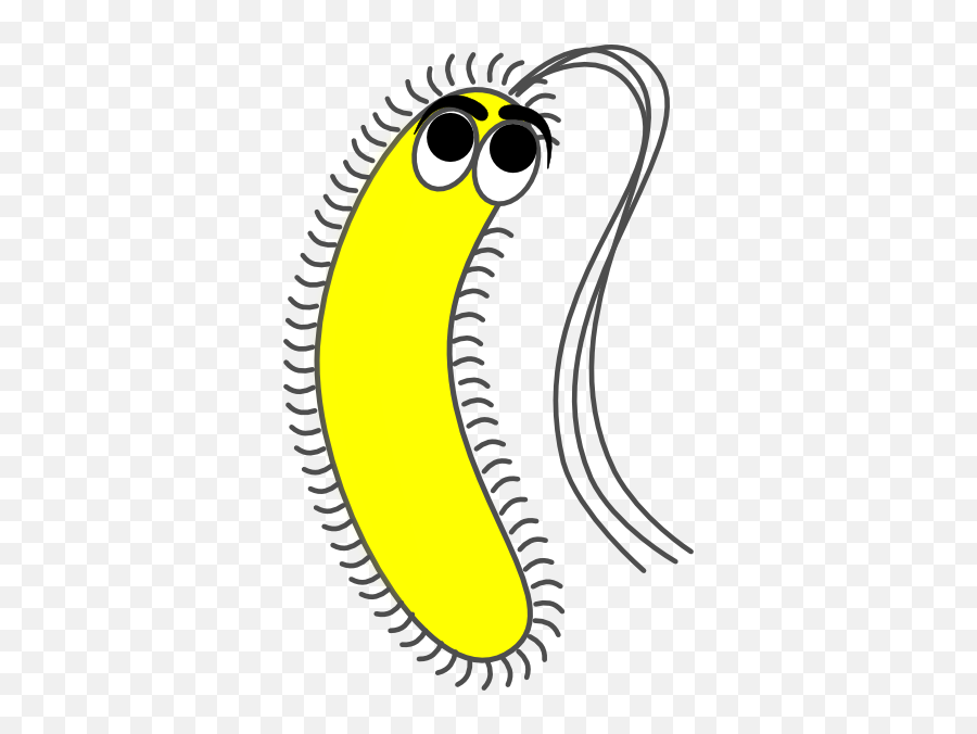 Free Bacteria Cliparts Png Download Clip Art - Yellow Bacteria Clipart,Germs Png