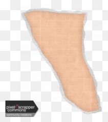 Seth Kit Torn Paper Graphic By Rachel Martin Pixel - Scrapbook Transparent png