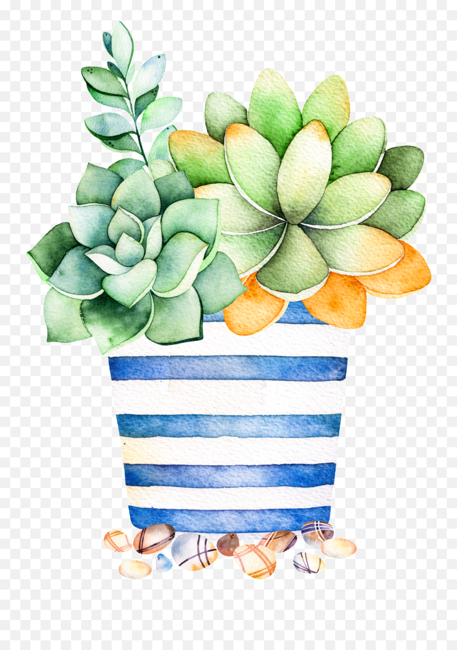 Download Blue Striped Flower Pot - Pot Flower Cartoon Png,Succulent Transparent Background