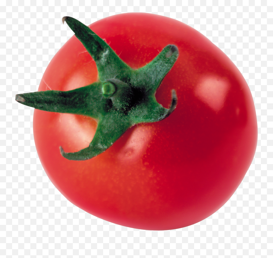 Tomato In Png Web Icons - One Tomato Png,Tomato Png