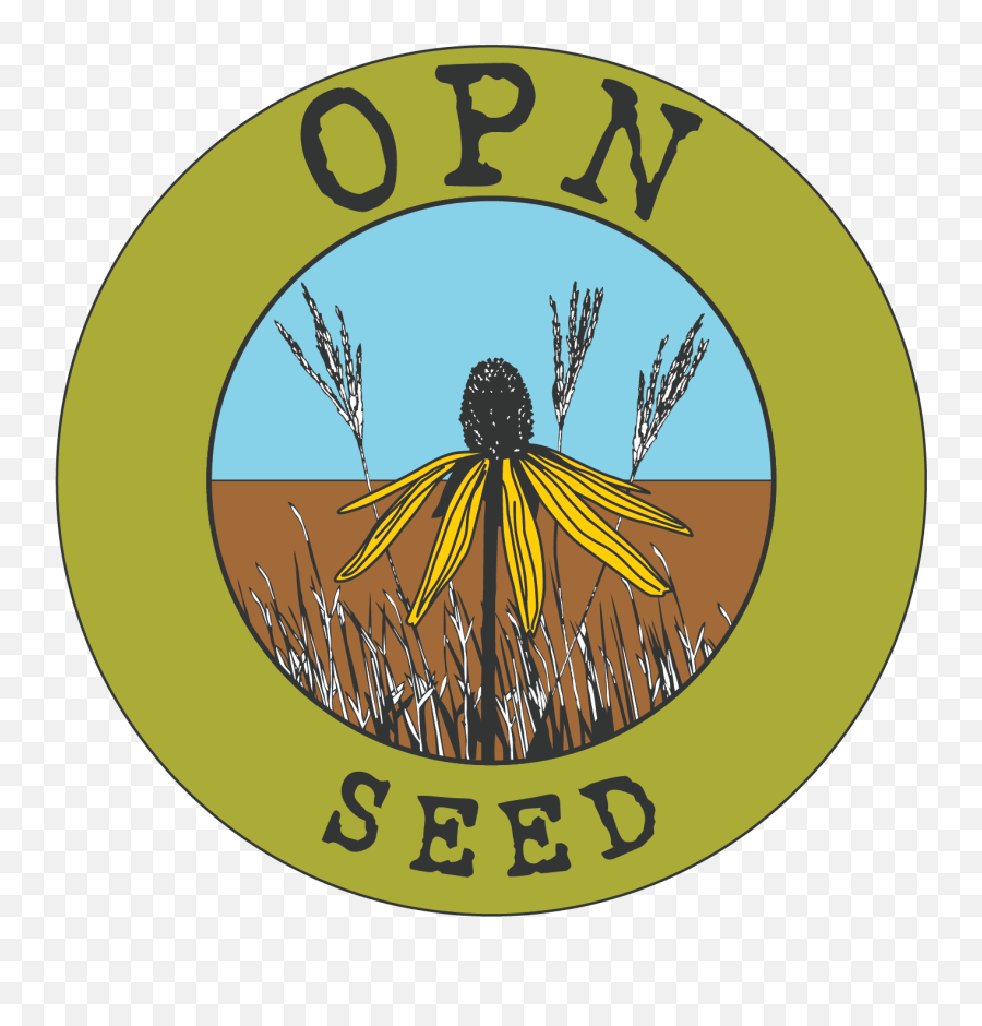 Native Prairie Grass Seed Wildflower - Opn Seed Png,Prairie Grass Png