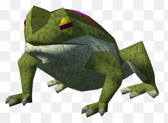 Frog - The RuneScape Wiki Frogs png