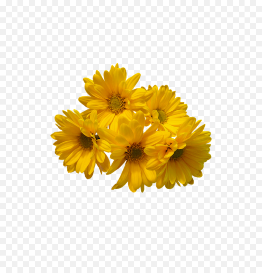 Spring Flower Png Free Download - Yellow Flowers Transparent Background,Spring Flowers Png