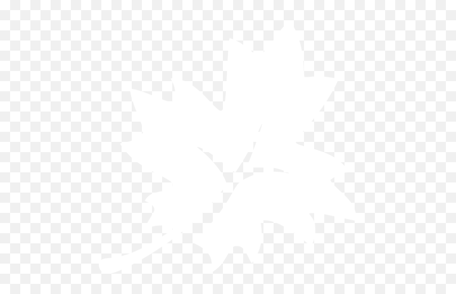 White Leaf 3 Icon - Diwalipura Youth Png,Leaf Icon Png