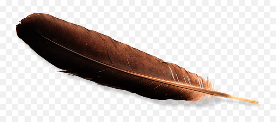 Eagle Feather Law Transparent Png Image - Transparent Eagle Feather Png,Eagle Feather Png