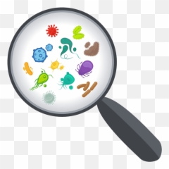 Virus Under Magnifying Glass Clipart - Illustration png