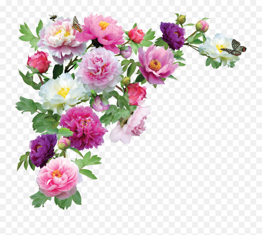 Flower Hd Png Transparent Hdpng Images Pluspng - Transparent Background Flowers Png,Flowers Png