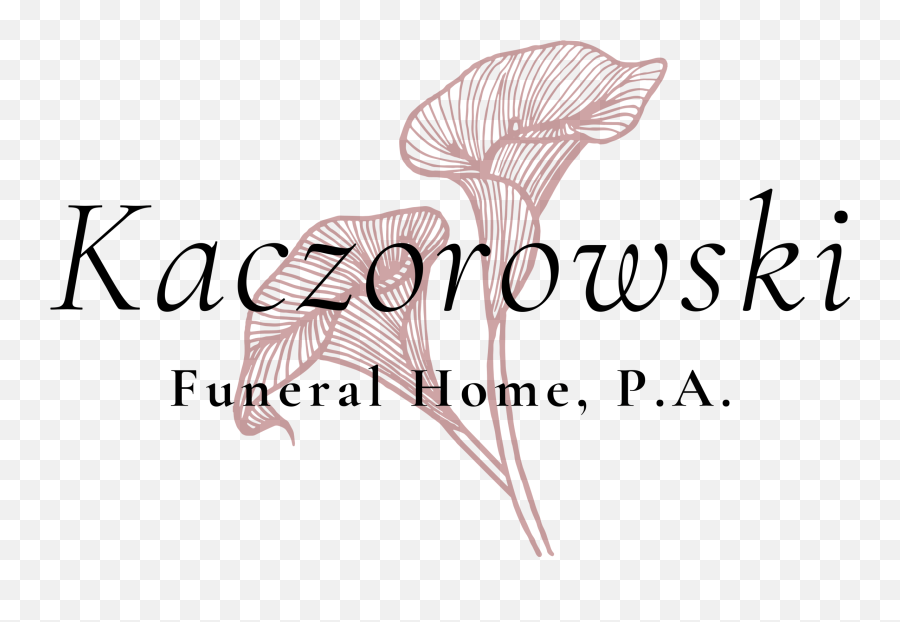 Red Light Camera Ticket Information Kaczorowski Funeral - Friend Animal Funeral Home In Pennsylvania Png,Red Light Transparent