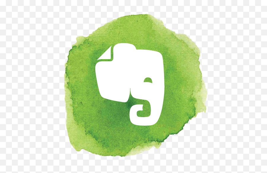 11 Elephant Icon Social Media Images - Elephant Social Media Evernote Icon Png,Elephant Icon