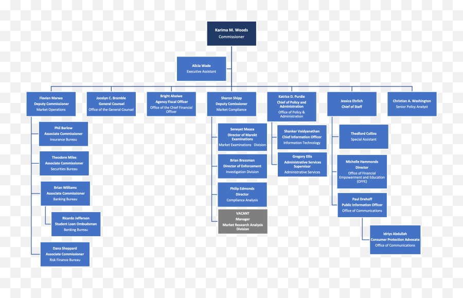 Disb Organizational Chart - Vertical Png,Org Chart Icon