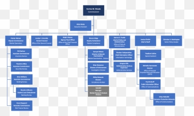 Disb Organizational Chart - Vertical png