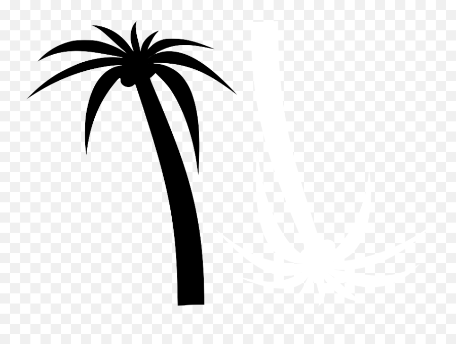 Download Transparent My Editcollage - Palm Tree Clip Art Palm Tree Clip Art Png,Palm Tree Clip Art Png