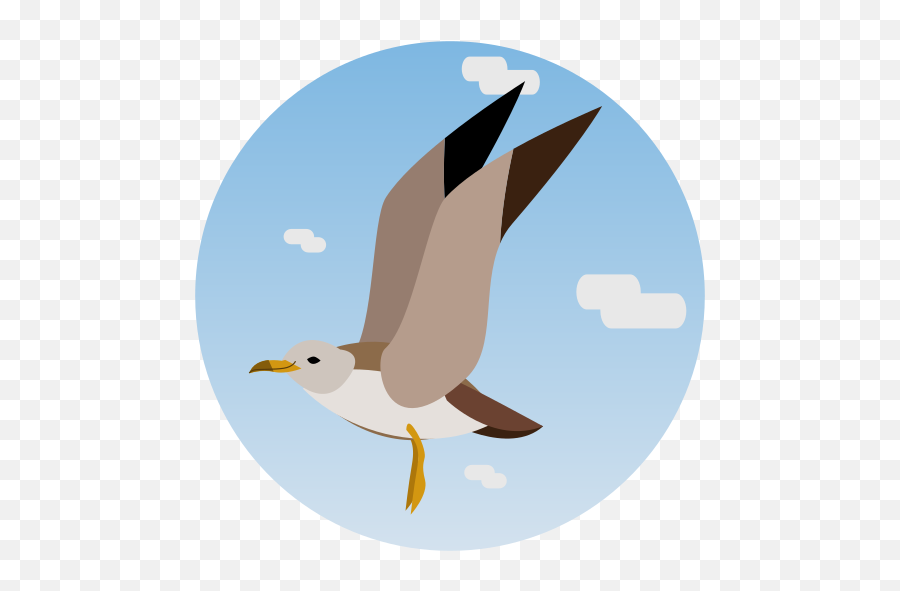 Cinderella Shearwater Bird Animal Wildlife Free Icon - Fauna Iconos Png,Flying Bird Icon