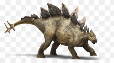 Jurassic Park U2013 Page Whendinosaursruledthemind - Stegosaurus Png