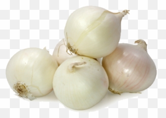 Download White Onion Png - Small White Onion Full Size Png White Onion Transparent Background,Onion Png