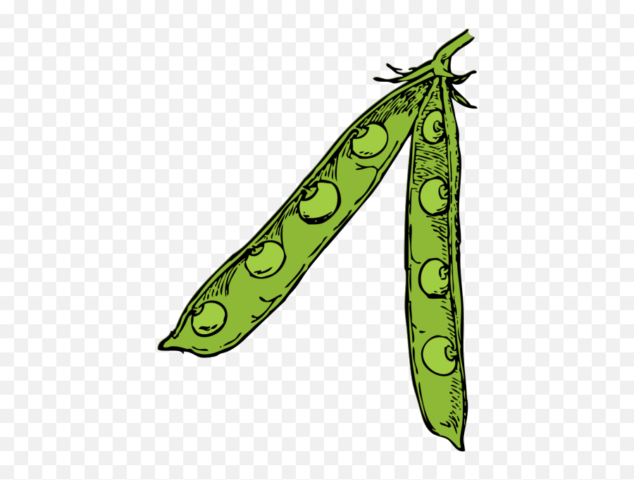 Pea Pod Png Svg Clip Art For Web - Download Clip Art Png Peas Clip Art,Peas Icon