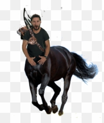 Shia Labeouf As A Centaur - Black Beauty Horse Png,Shia Labeouf Png