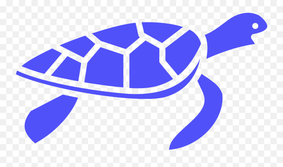 Boca Raton U2014 Making Connections - Ridley Sea Turtle Png,Turtle Icon Png