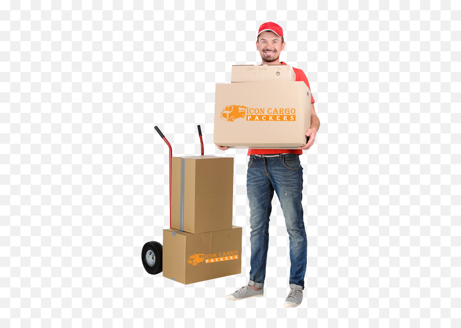 Icon Cargo Packers - Package Delivery Png,Packers Icon