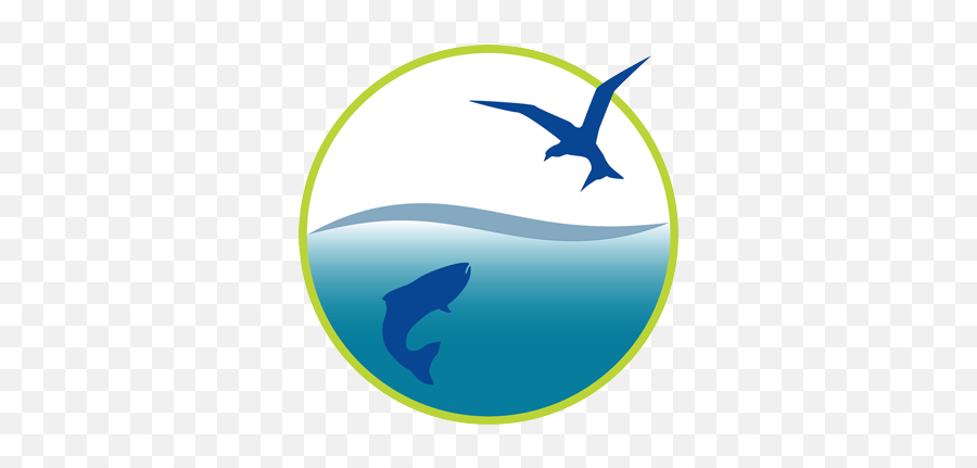 Friends Of Casco Bay Cascobay Twitter - Shark Png,Cascos Icon