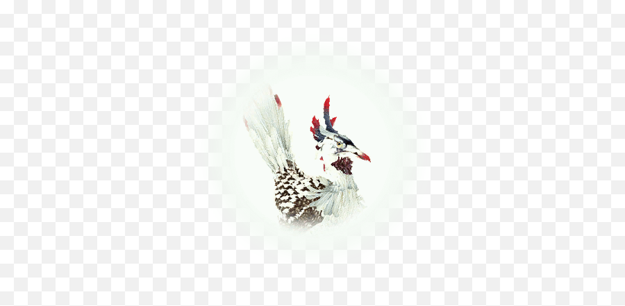 Lightweight Plume - Bdo Codex Phasianidae Png,Plume Icon