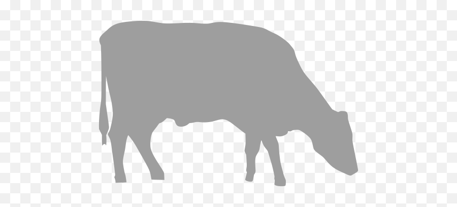 Svg U003e Animal Head Cow - Free Svg Image U0026 Icon Svg Silh Png,Beef Head Icon