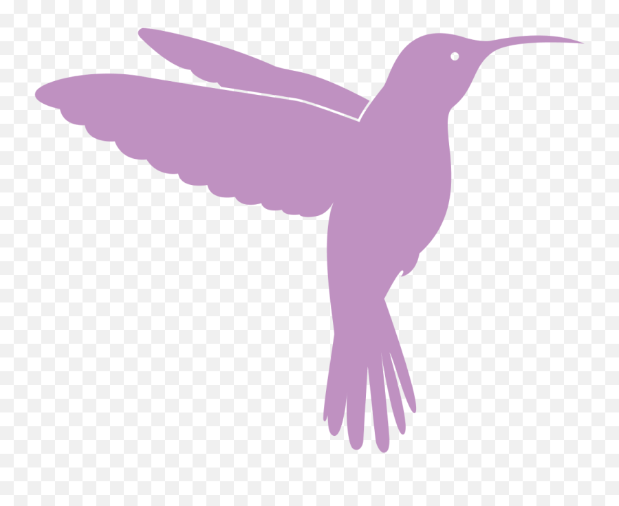 Hummingbird Blogs U2013 Sings - Hummingbird Png,Hummingbird Transparent