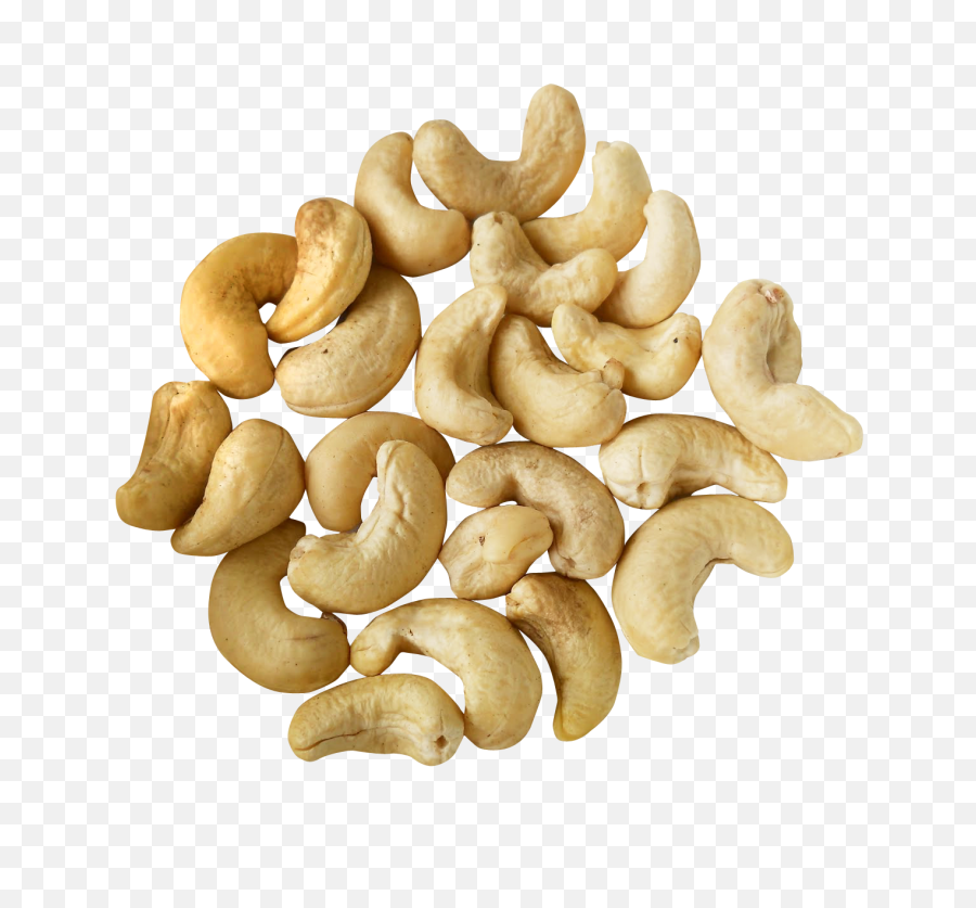 Cashew Nut Png - Cashew Nut Hd Png,Cashew Png