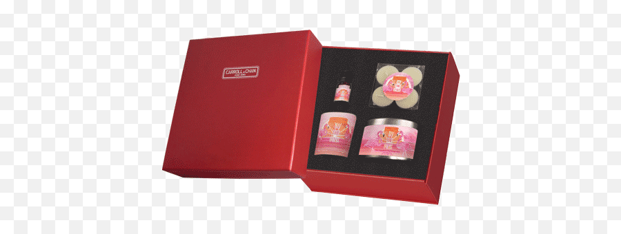 In The Pink Gift Box - Japanese Camellia Png,Pink Petals Png
