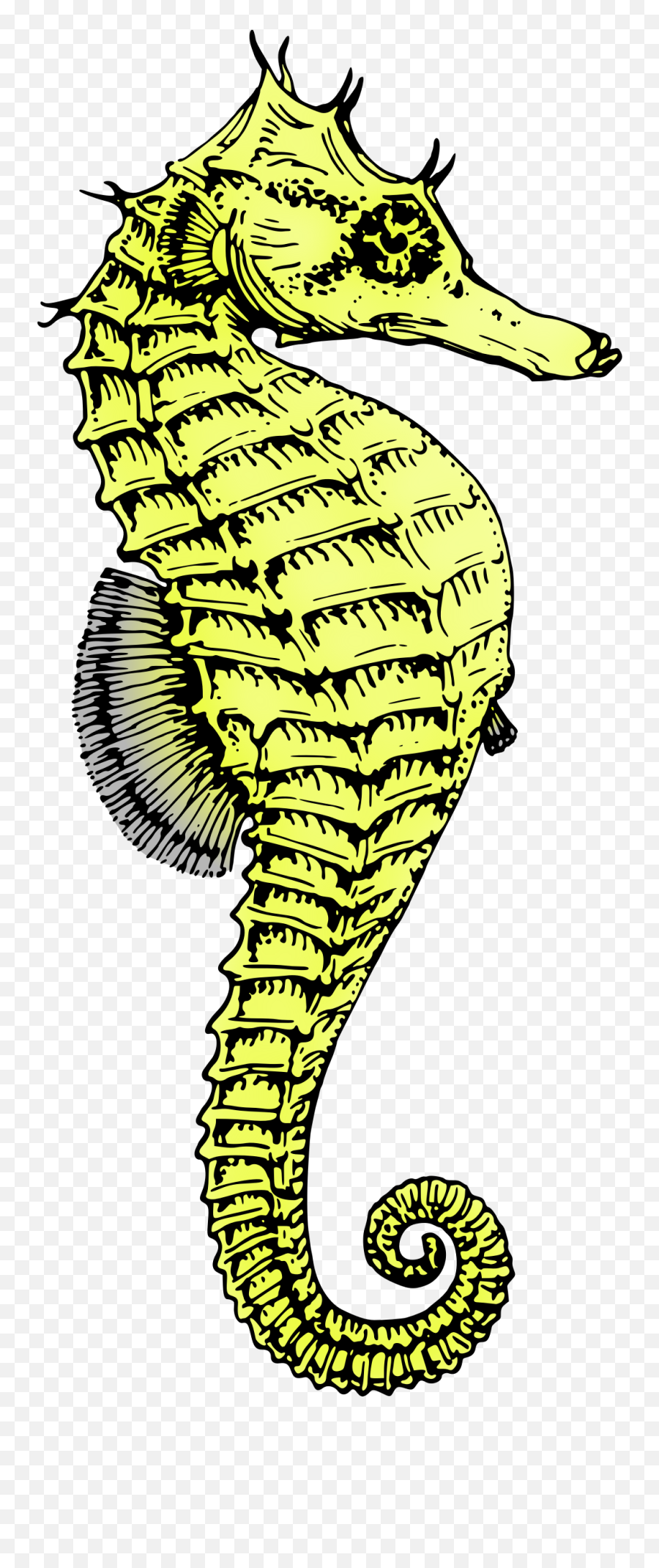 Green Clipart Seahorse - Seahorse Png,Seahorse Png