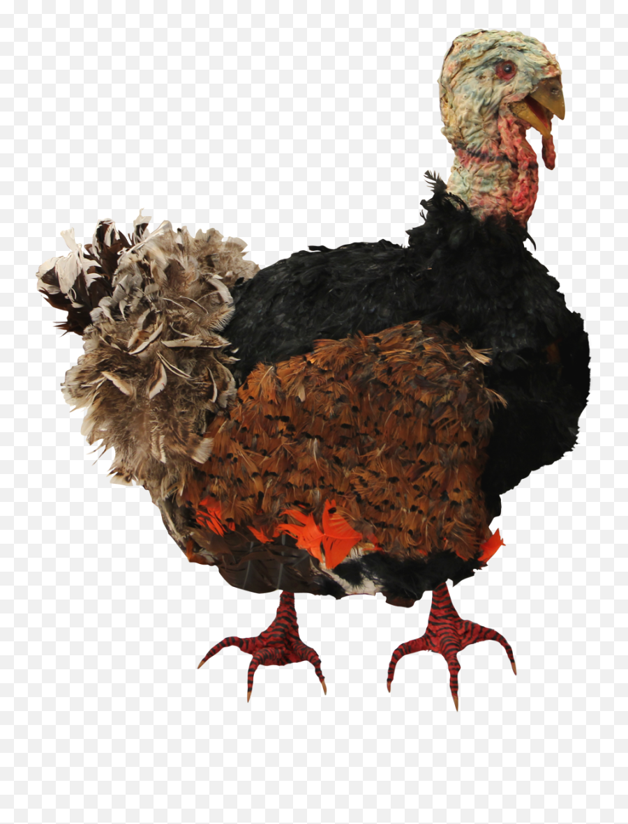 Download Cooked Turkey Png - Bad Turkey,Cooked Turkey Png