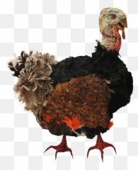 Download Cooked Turkey Png - Bad