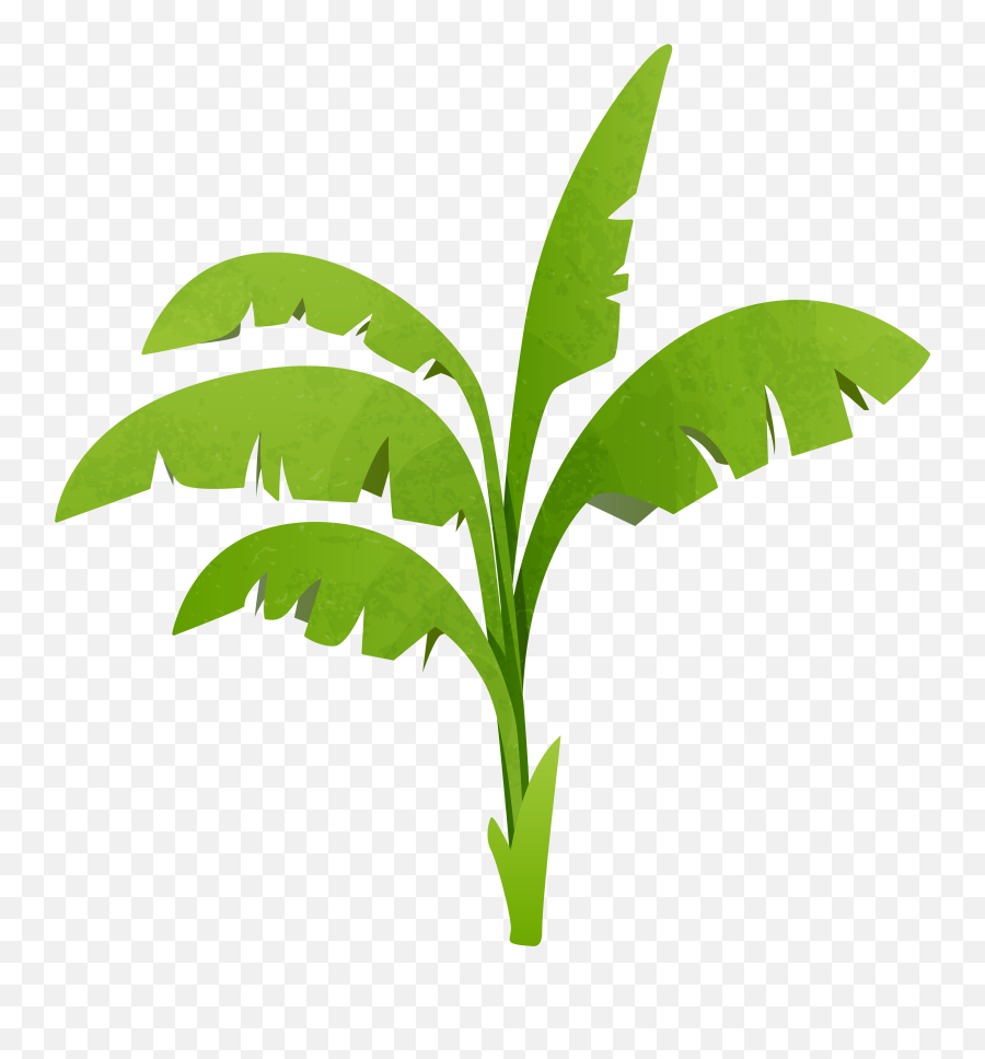 Plant Transparent Clipart Png Background
