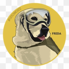 Pug Vector Png - Christmas Pug Pug 1866521 Vippng Pug,Pug Png